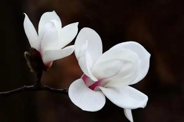 保險(xiǎn)過(guò)期沒(méi)交保費(fèi)能退保嗎？退保可以退多少？