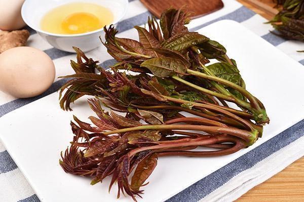 重疾保險退保能退多少？手續(xù)如何辦理？
