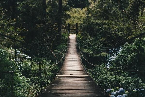 學(xué)平險都保什么？報銷流程是怎樣的？