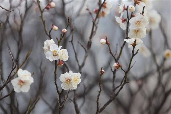 查詢醫(yī)保個人繳費記錄方法有哪些？醫(yī)保繳費基數(shù)是多少？
