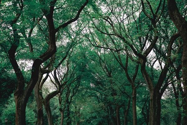 社保繳費基數(shù)和工資有什么關(guān)系？最低要交多少年？
