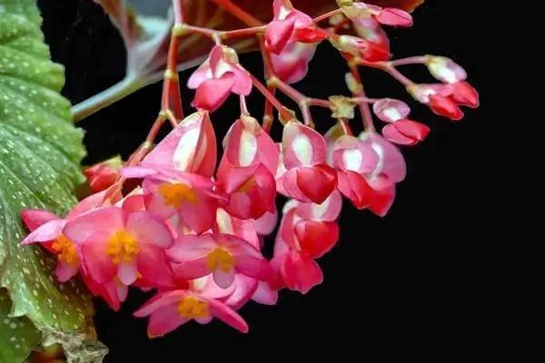 醫(yī)?？ㄑa(bǔ)繳費(fèi)后多久可以使用？補(bǔ)繳后卡里有錢嗎？