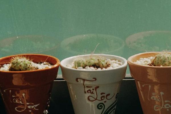 保險(xiǎn)復(fù)利3.5%怎么算的？有必要買嗎？