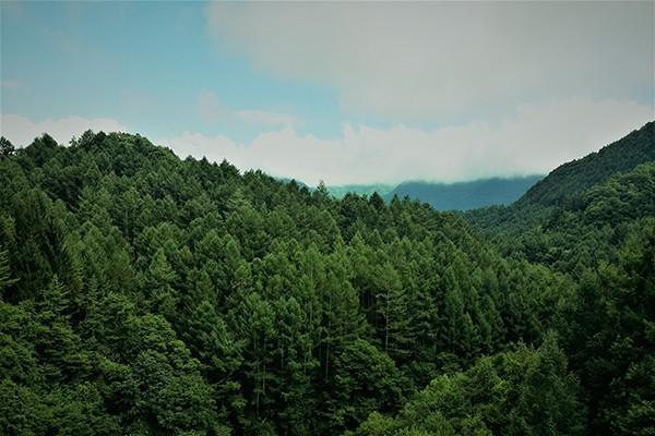平安平安福終身壽險(xiǎn)交20年劃算嗎？保障內(nèi)容是什么？