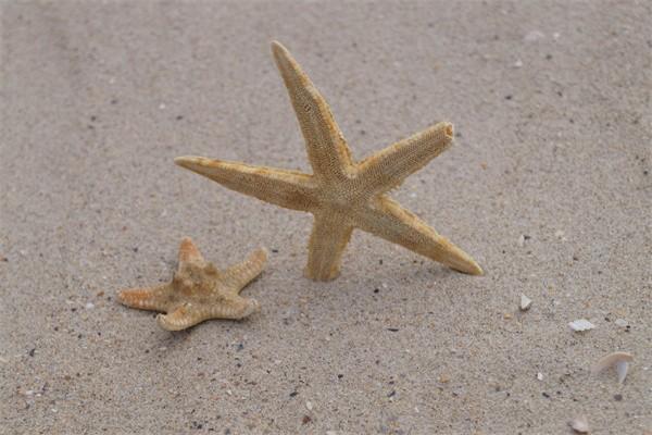 低保查幾個(gè)月銀行流水？補(bǔ)助標(biāo)準(zhǔn)是什么？