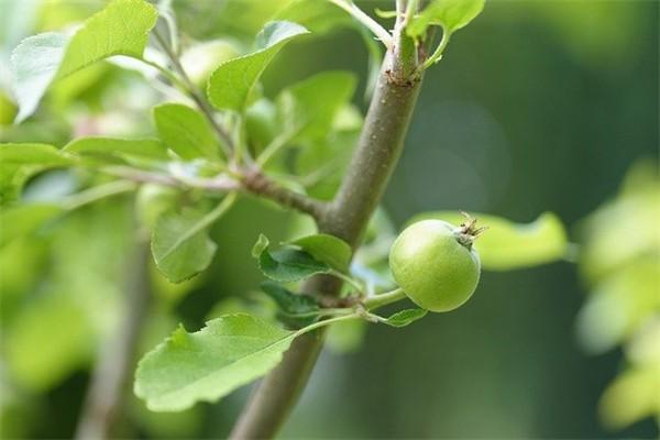 百年人壽百悅人生養(yǎng)老年金保險怎么樣？可以減保嗎？