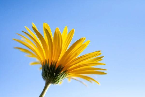 人保壽險關愛百萬醫(yī)療保險怎么樣？需不需要購買？
