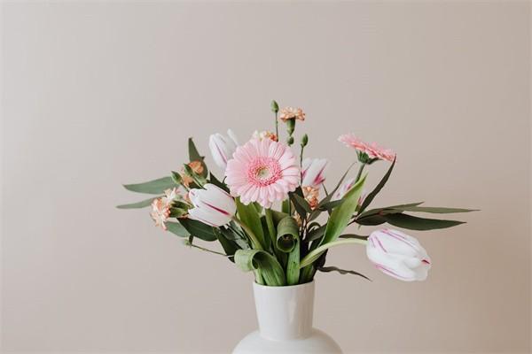 增多多保險(xiǎn)是哪家公司的？有一些什么保障？