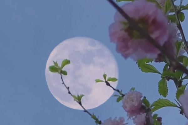農(nóng)村60歲以后養(yǎng)老多少錢？養(yǎng)老金領取方法是什么？