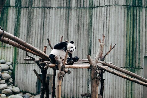 現(xiàn)在最好的年金險(xiǎn)什么最好？增額壽和年金險(xiǎn)的區(qū)別有哪些？