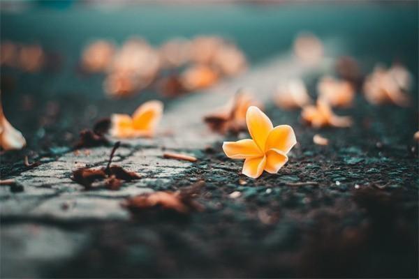 保險(xiǎn)收益率計(jì)算器怎么算的？在線計(jì)算公式是什么？