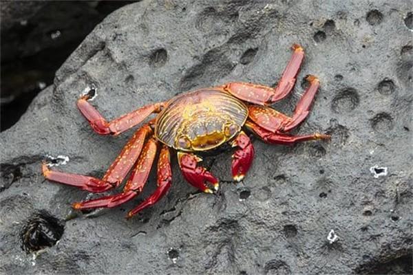 保險公司理財產(chǎn)品可靠么？保險理財產(chǎn)品值得購買嗎？