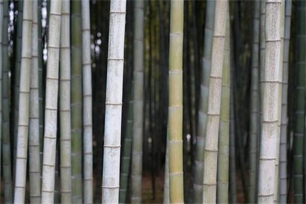 長期護(hù)理險要交滿幾年？長期護(hù)理險是什么意思？