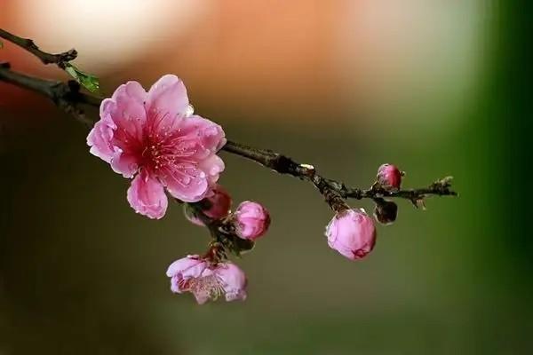 建行龍耀一世b款終身壽險(xiǎn)可靠嗎？收益有多少？