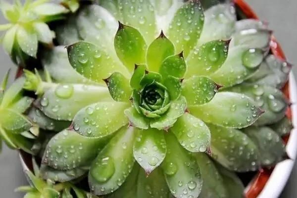 太平洋安享百萬醫(yī)療險(xiǎn)有墊付功能嗎？值得購買嗎？