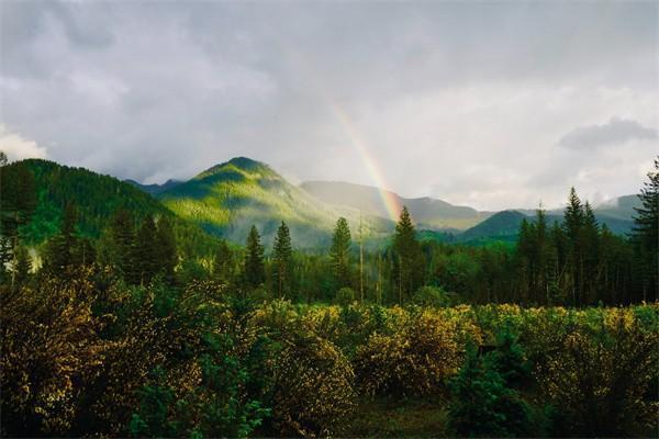 為什么說(shuō)太平洋老來(lái)福太坑了？有什么優(yōu)點(diǎn)？