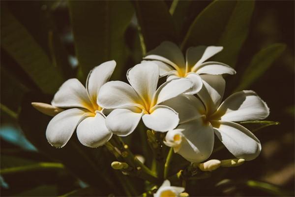 太平洋萬能賬戶結(jié)算利率公告怎么查詢？有多少？
