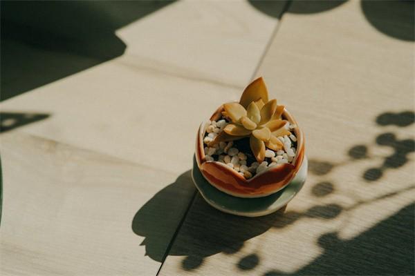 養(yǎng)老保險(xiǎn)怎么買最劃算？要交多少年呢？
