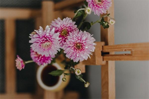人保壽險鑫享至尊年金保險可靠嗎？可以轉(zhuǎn)換養(yǎng)老金嗎？