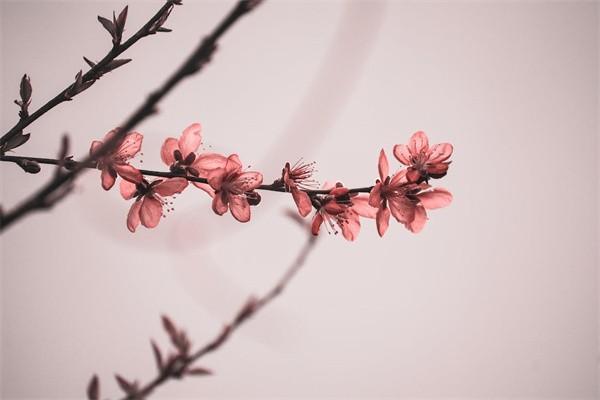 誰(shuí)買(mǎi)泰康人壽鑫享人生保險(xiǎn)好不好？值得購(gòu)買(mǎi)嗎？