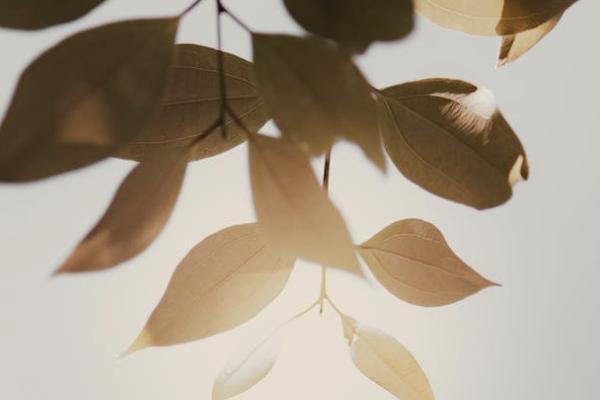買保險理財好還是定期存款好？保險理財有什么優(yōu)劣勢？