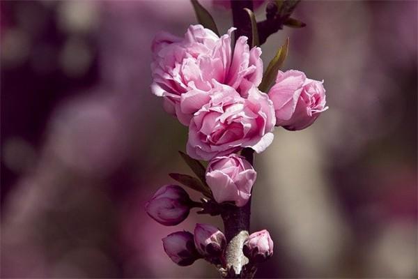 陽光財產(chǎn)保險股份有限公司怎么樣？有哪些產(chǎn)品？