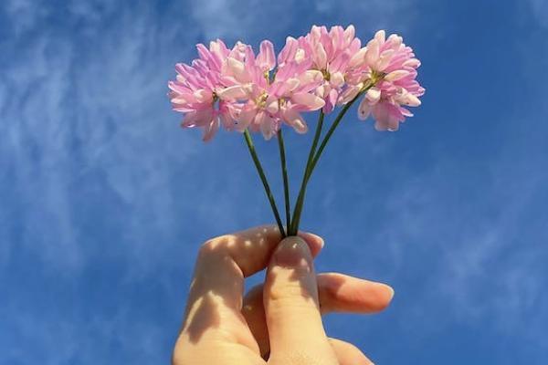 大家人壽19終身壽險(xiǎn)可靠嗎？有哪些優(yōu)勢？