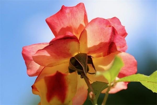 中郵保險(xiǎn)一年存2萬(wàn)一共存3年是真的嗎？到第四年能取出來(lái)嗎？