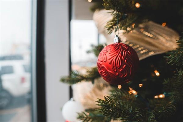一生保一年要交多少錢(qián)？一年管一年的嗎？
