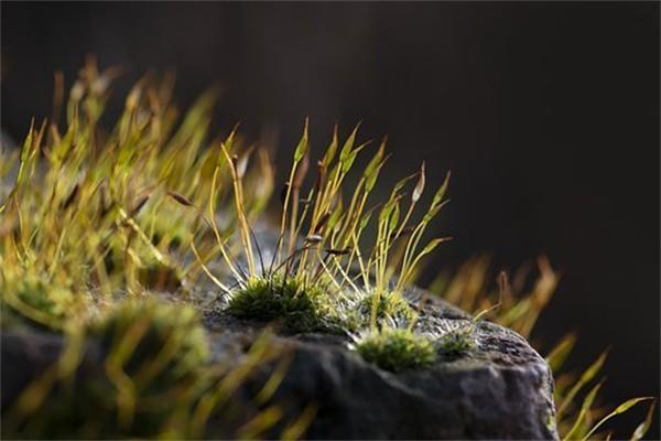 大病險(xiǎn)中途退?？梢苑颠€多少？需要注意哪些問題？