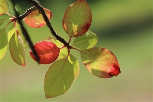 保險(xiǎn)出險(xiǎn)還能退保嗎？退保怎么退？