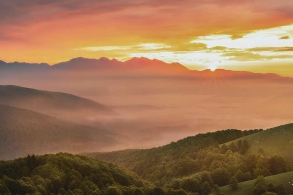 太平福滿金生太坑了是真的嗎？有哪些優(yōu)點(diǎn)？
