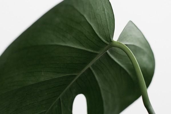 被銀行忽悠買了理財怎么投訴？投訴了有用嗎？