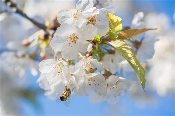 金享人生終身壽險(xiǎn)分紅型是什么保險(xiǎn)？什么時(shí)候可領(lǐng)錢(qián)？