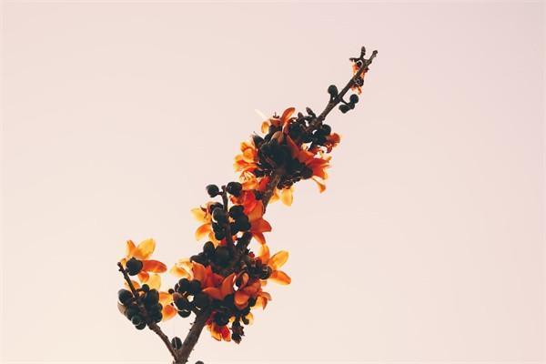 眾安保險(xiǎn)熱線電話是多少？是不是正規(guī)公司？