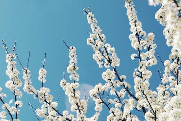 城鄉(xiāng)居民養(yǎng)老保險多少錢？選擇什么檔次比較好？
