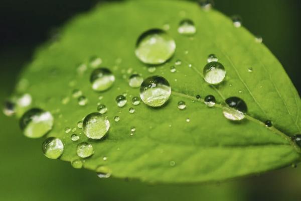 人保百萬醫(yī)療險保障范圍是什么？一年要交多少錢？