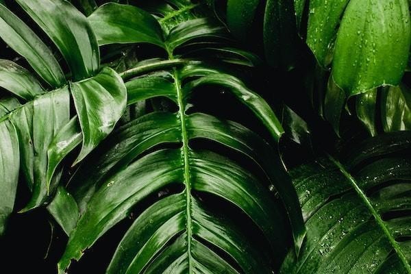 借唄逾期一年多可以申請(qǐng)減免利息嗎？逾期可以申請(qǐng)延期還款嗎