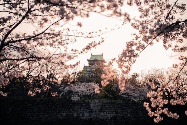 京東白條逾期三年可以只還本金嗎？還款最佳處理辦法是什么