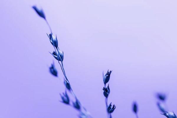 平安e生保和百萬醫(yī)療哪個(gè)好？有啥區(qū)別？