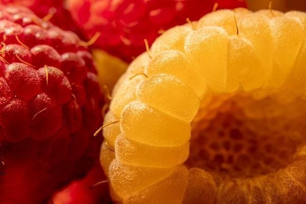 工傷保險(xiǎn)報(bào)銷需要哪些資料？流程有哪些？
