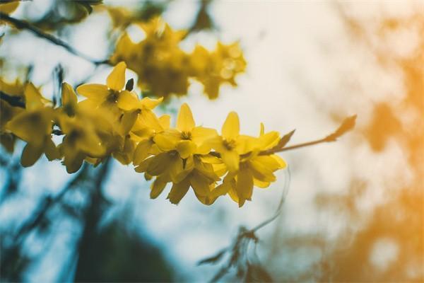 君康人壽保險(xiǎn)公司排名多少？是國企還是私企？