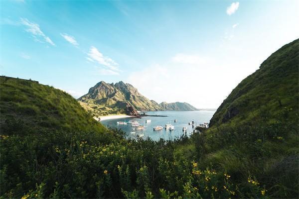 泰山保險公司怎么樣？償付能力好嗎？