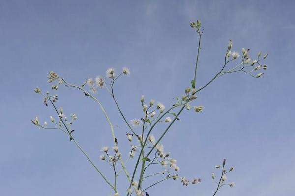 保險(xiǎn)沒(méi)退保也沒(méi)交費(fèi)會(huì)怎么樣？退保能退多少錢？