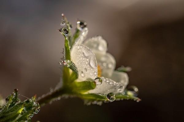 天津惠民保險怎么理賠？可以通過哪些渠道理賠？
