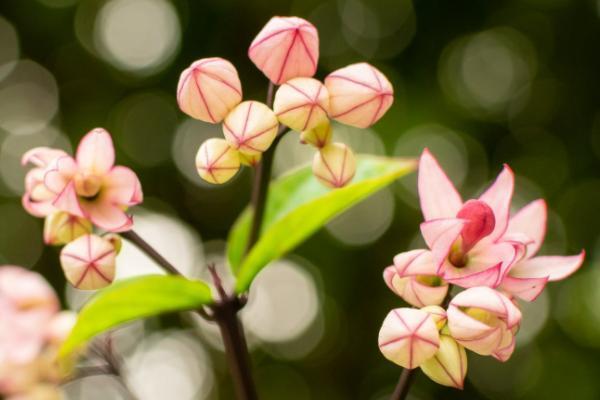 45歲交社會(huì)養(yǎng)老保險(xiǎn)劃算嗎？得交多少錢？