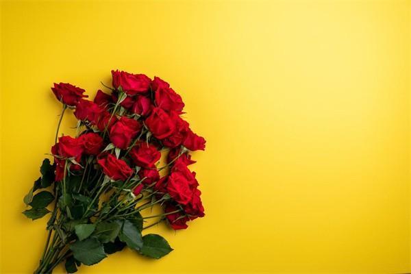 保險(xiǎn)公司黃了我買的保險(xiǎn)怎么辦？還可以理賠嗎？