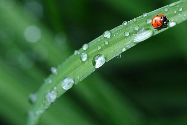華夏人壽保險(xiǎn)5年定期劃算嗎？交10后就可以取年金了嗎？