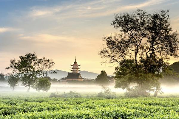 如意人生養(yǎng)老年金保險投保規(guī)則如何？有哪些保障？