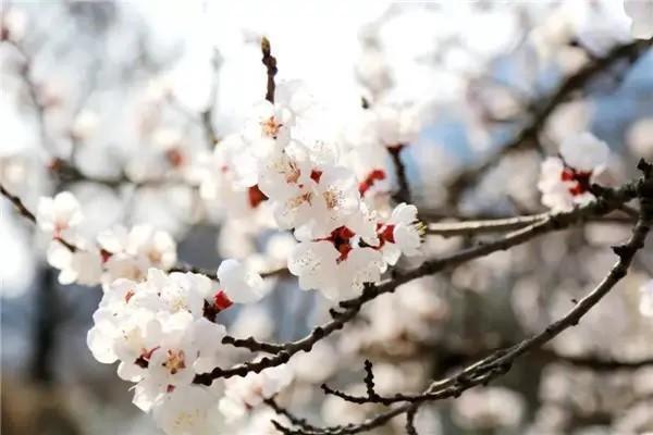 全家百萬醫(yī)療保險(xiǎn)是什么意思？是哪家的？